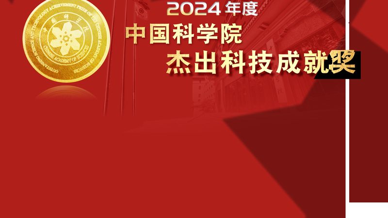 中小企业与大型企业数字化转型之路：差异与策略